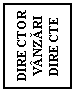 Text Box: DIRECTOR VANZARI
DIRECTE
