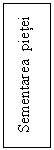 Text Box: Sementarea  pietei