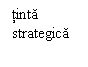 Text Box: tinta
strategica
