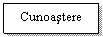 Text Box: Cunoastere