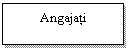 Text Box: Angajati