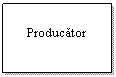 Text Box: Producator
