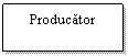 Text Box: Producator