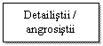 Text Box: Detailistii / angrosistii