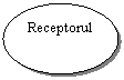 Oval: Receptorul