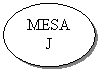 Oval: MESAJ