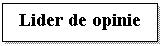 Text Box: Lider de opinie