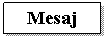 Text Box: Mesaj