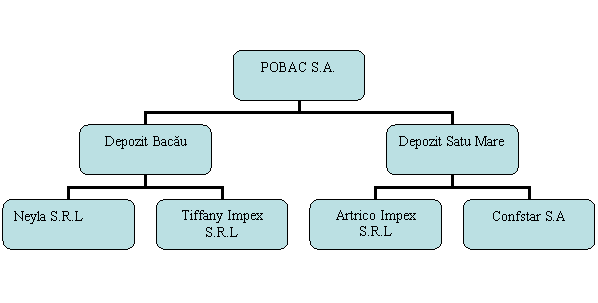 Organization Chart