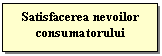 Text Box: Satisfacerea nevoilor consumatorului