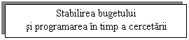 Text Box: Stabilirea bugetului
si programarea in timp a cercetarii

