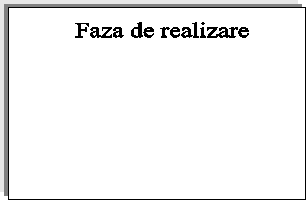 Faza de realizare