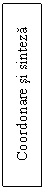 Text Box: Coordonare si sinteza

