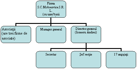 Organization Chart