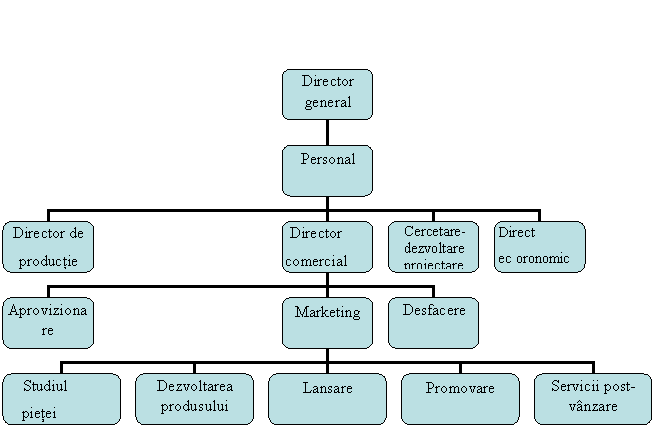 Organization Chart