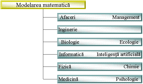 Organization Chart