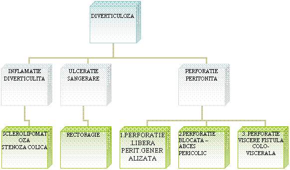 Organization Chart