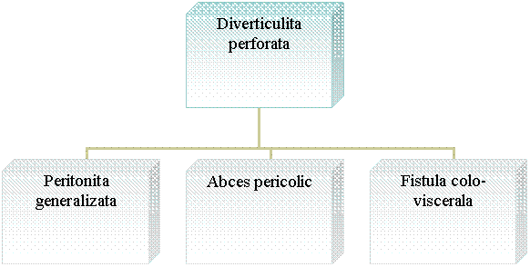 Organization Chart