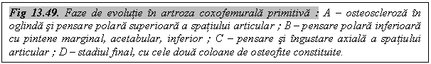 Text Box: Fig 13.49. Faze de evolutie in artroza coxofemurala primitiva : A - osteoscleroza in oglinda si pensare polara superioara a spatiului articular ; B - pensare polara inferioara cu pintene marginal, acetabular, inferior ; C - pensare si ingustare axiala a spatiului articular ; D - stadiul final, cu cele doua coloane de osteofite constituite.