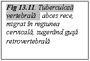 Text Box: Fig 13.11. Tuberculoza vertebrala : abces rece, migrat in regiunea cervicala, sugerand gusa retrovertebrala