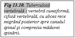 Text Box: Fig 13.10. Tuberculoza vertebrala : vertebra cuneiforma, cifoza vertebrala, cu abces rece migrand posterior spre canalul spinal si compresia maduvei spinarii.

