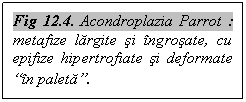 Text Box: Fig 12.4. Acondroplazia Parrot : metafize largite si ingrosate, cu epifize hipertrofiate si deformate 