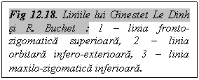 Text Box: Fig 12.18. Liniile lui Ginestet Le Dinh si R. Buchet : 1 – linia fronto-zigomatica superioara, 2 – linia orbitara infero-exterioara, 3 – linia maxilo-zigomatica inferioara.