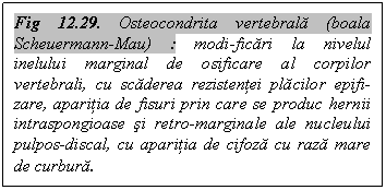 Text Box: Fig 12.29. Osteocondrita vertebrala (boala Scheuermann-Mau) : modi-ficari la nivelul inelului marginal de osificare al corpilor vertebrali, cu scaderea rezistentei placilor epifi-zare, aparitia de fisuri prin care se produc hernii intraspongioase si retro-marginale ale nucleului pulpos-discal, cu aparitia de cifoza cu raza mare de curbura.