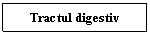 Text Box: Tractul digestiv