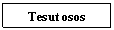 Text Box: Tesut osos