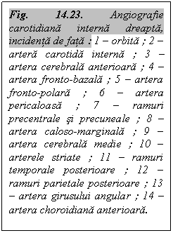 Text Box: Fig. 14.23. Angiografie carotidiana interna dreapta, incidenta de fata : 1 - orbita ; 2 - artera carotida interna ; 3 - artera cerebrala anterioara ; 4 - artera fronto-bazala ; 5 - artera fronto-polara ; 6 - artera pericaloasa ; 7 - ramuri precentrale si precuneale ; 8 - artera caloso-marginala ; 9 - artera cerebrala medie ; 10 - arterele striate ; 11 - ramuri temporale posterioare ; 12 - ramuri parietale posterioare ; 13 - artera girusului angular ; 14 - artera choroidiana anterioara.