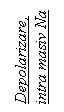 Text Box: Depolarizare, intra masiv Na