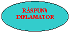 Oval: RASPUNS INFLAMATOR