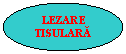 Oval: LEZARE TISULARA