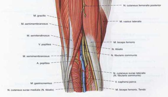 poza 12