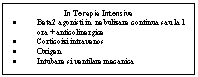 Text Box: In Terapia Intensiva
.	Beta2 agonisti in  nebulizare continua sau la 1 ora + anticolinergice 
.	Corticoizi intravenos
.	Oxigen
.	Intubare si ventilare mecanica

