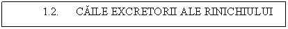Text Box: 1.2. CAILE EXCRETORII ALE RINICHIULUI