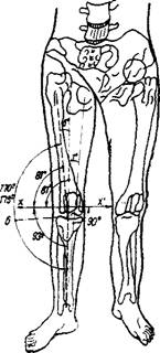 Biomecanica genunchiului