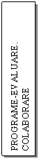 Text Box: PROGRAME-EVALUARE. COLABORARE INTERNATIONALA.