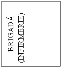 Text Box: BRIGADA
(INFIRMERIE)
