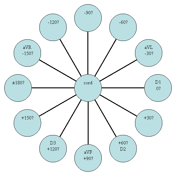 Radial Diagram