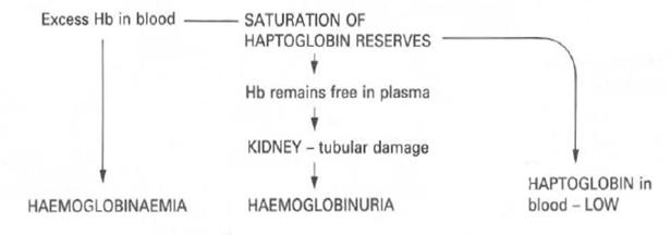 hemoliza intravasculara