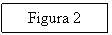 Text Box: Figura 2