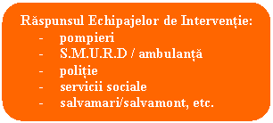 Rounded Rectangle: Raspunsul Echipajelor de Interventie: 
- pompieri
- S.M.U.R.D / ambulanta
- politie
- servicii sociale
- salvamari/salvamont, etc.

