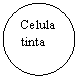 Oval: Celula tinta