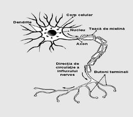 Fig6