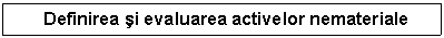 Text Box: Definirea si evaluarea activelor nemateriale
