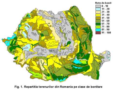 Figura 1