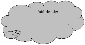 Cloud Callout:                   Pata de ulei