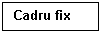 Text Box: Cadru fix


